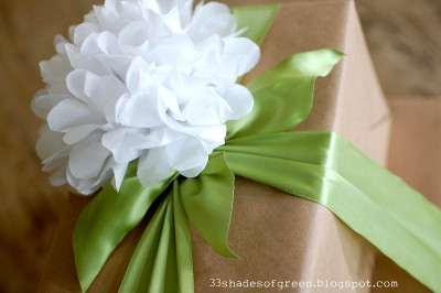 Tissue Paper Flowers