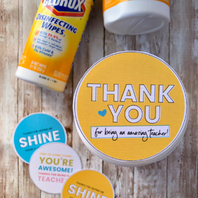 Sanitizing Wipes Teacher Appreciation Gift Idea